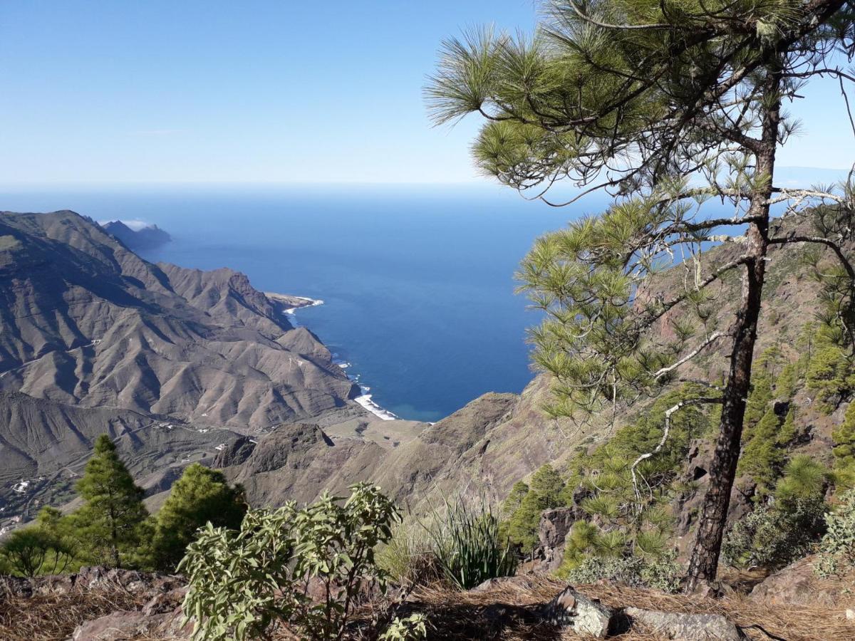Taidia Tropical Lejlighed Maspalomas  Eksteriør billede