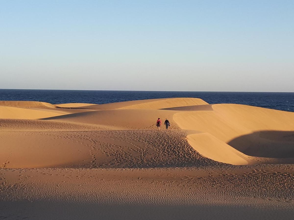 Taidia Tropical Lejlighed Maspalomas  Eksteriør billede