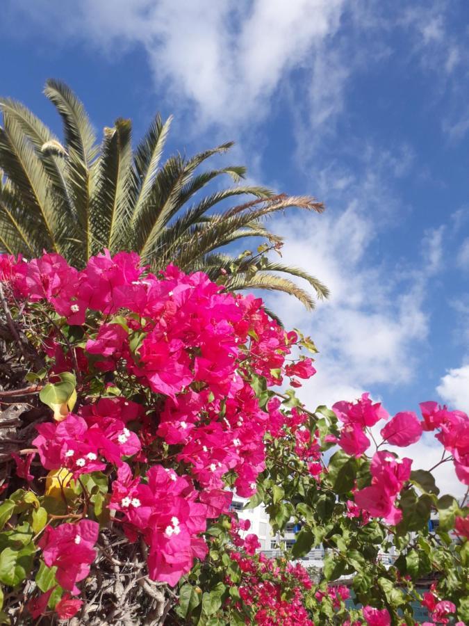 Taidia Tropical Lejlighed Maspalomas  Eksteriør billede
